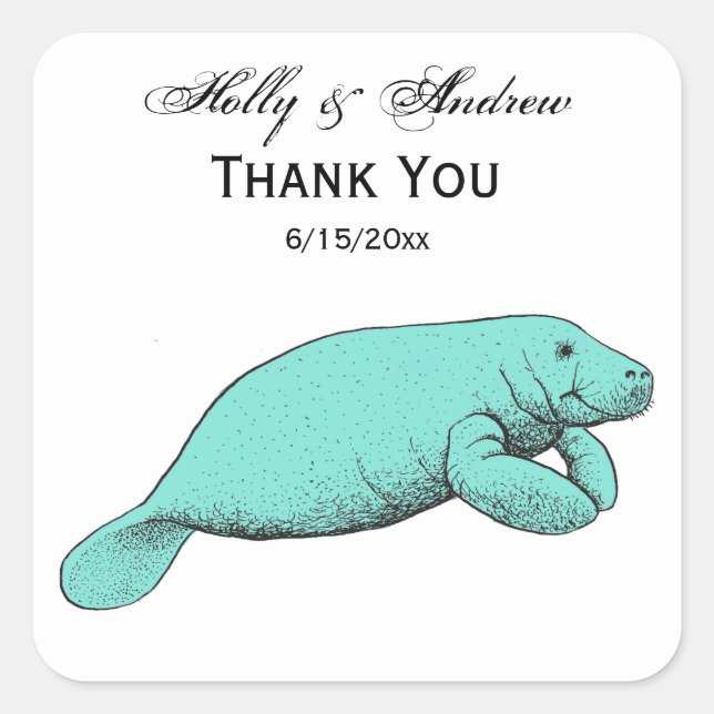 Vintage Manatee Drawing Aqua Square Sticker (Front)