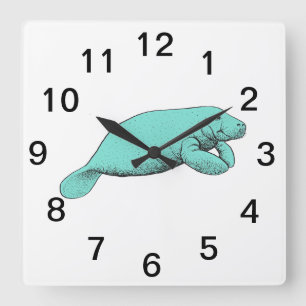 Vintage Manatee Drawing Aqua Square Wall Clock