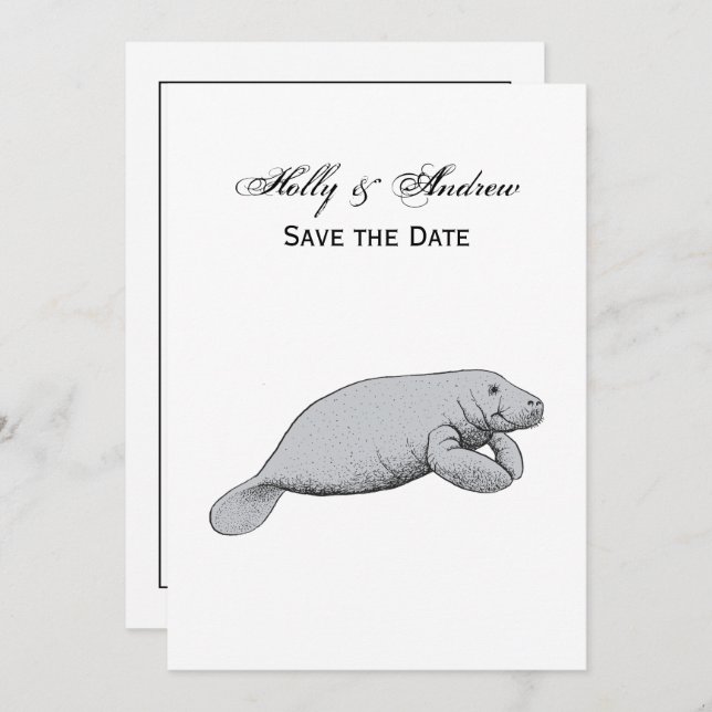 Vintage Manatee Drawing Invitation (Front/Back)