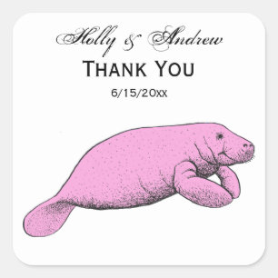 Vintage Manatee Drawing Pink Square Sticker