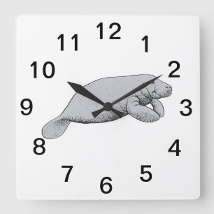 Vintage Manatee Drawing Square Wall Clock