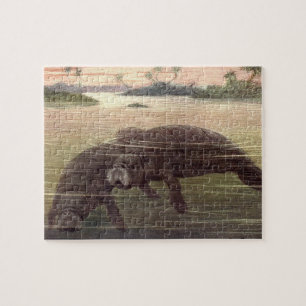 Vintage Manatees or Sea Cows, Marine Mammals Jigsaw Puzzle
