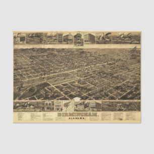 Vintage Map of Birmingham, Alabama (1885) Tissue Paper