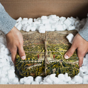 Vintage map of Central Park, New York, 1873 Tissue Paper