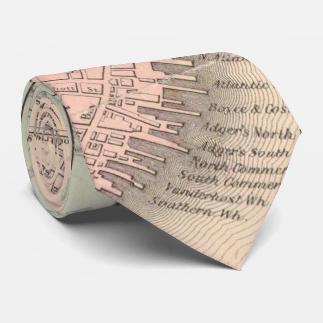 Vintage Map of Charleston South Carolina (1855) Tie (Rolled)