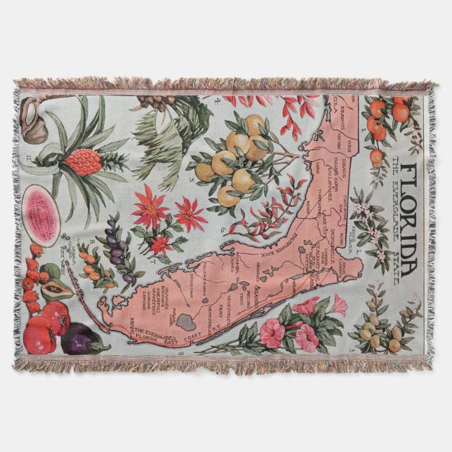 Vintage Map of Florida (1917) Throw Blanket (Front)