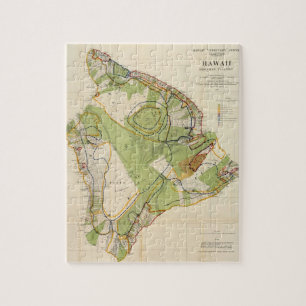 Vintage Map of Hawaii Island (1906) Jigsaw Puzzle