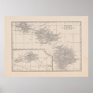 Vintage Map of Hawaii Poster