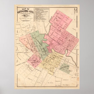 Vintage Map of Petaluma CA (1877) Poster