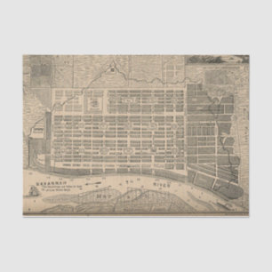 Vintage Map of Savannah Georgia (1818) Tissue Paper