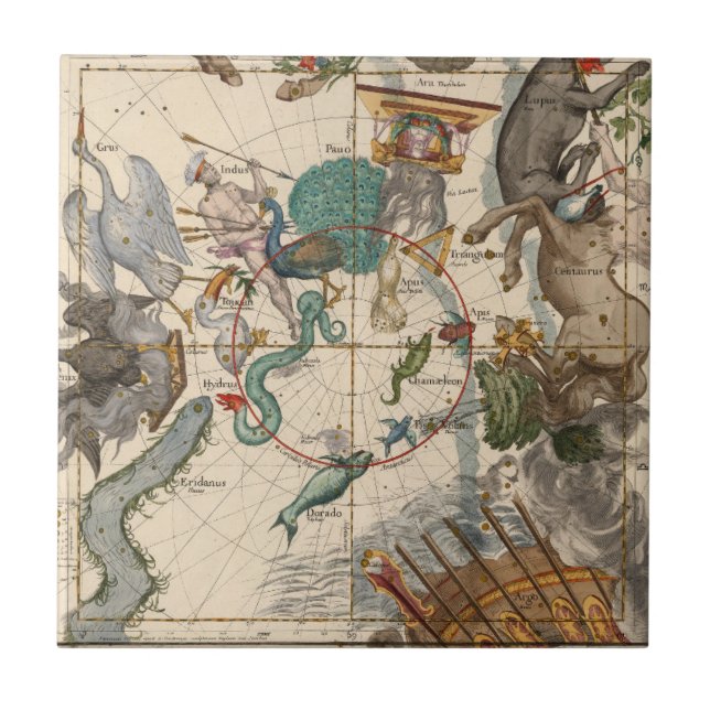 Vintage Map of the South Pole Tile (Front)