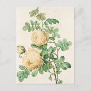 Vintage Map Postcard