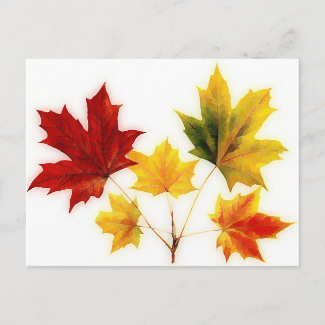 vintage maple leaves postcard (Front)