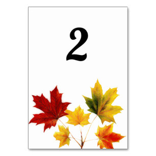 Vintage Maple Leaves Table Cards