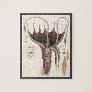 Vintage Marine Life Animals, Umbrella Squid Jigsaw Puzzle