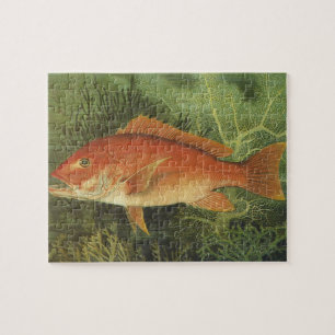 Vintage Marine Life, Red Snapper Fish in the Ocean Jigsaw Puzzle