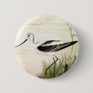 Vintage Marine Life Shorebirds, Avocet Birds 6 Cm Round Badge