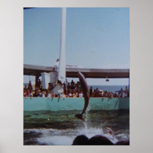 VINTAGE MARINELAND POSTER