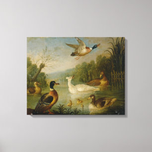 Vintage Marmaduke Cradock Mallards on a Pond Canvas Print