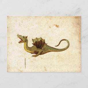 Vintage Mediaeval Dragon Design Postcard