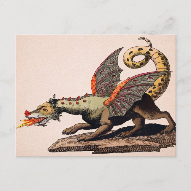Vintage Mediaeval Dragon Postcard (Front)