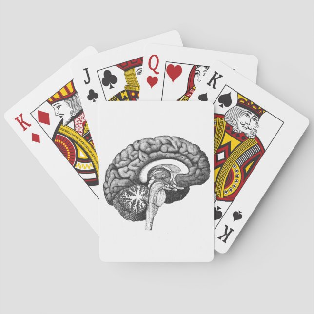 Vintage medical anatomy illustration human brain playing cards (Back)