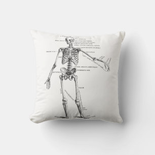 Vintage medical anatomy skeleton doctor diagram cushion