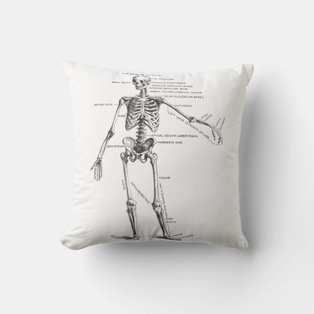 Vintage medical anatomy skeleton doctor diagram cushion (Front)
