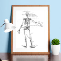 Vintage medical anatomy skeleton doctor diagram