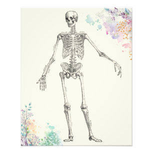 Vintage medical anatomy skeleton flower diagram photo print