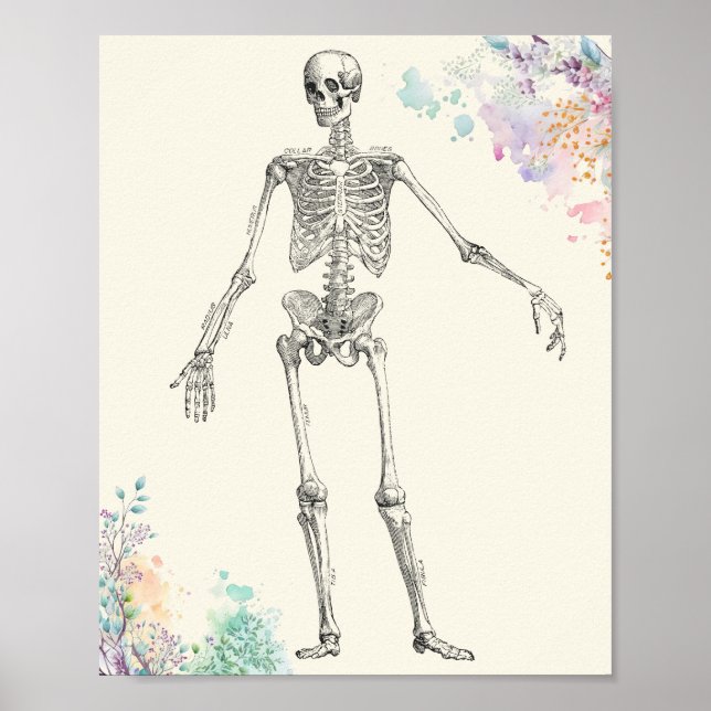 Vintage medical anatomy skeleton flower diagram poster (Front)
