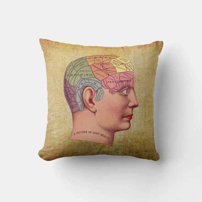Vintage Medical Brain Anatomy Pillow (Front)