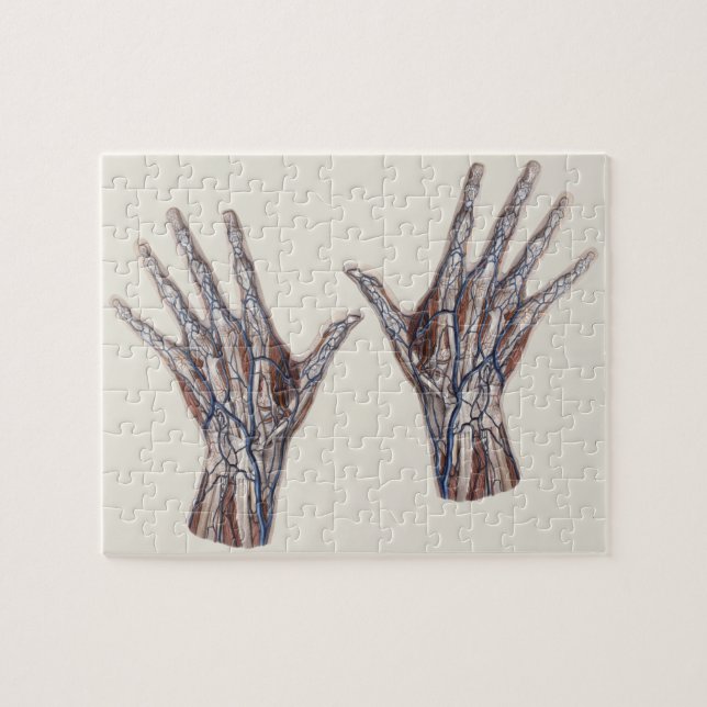 Vintage Medicine, Human Anatomy Hand Fingers Jigsaw Puzzle (Horizontal)
