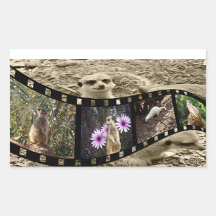 Vintage Meerkat Photo Strip, Rectangular Sticker