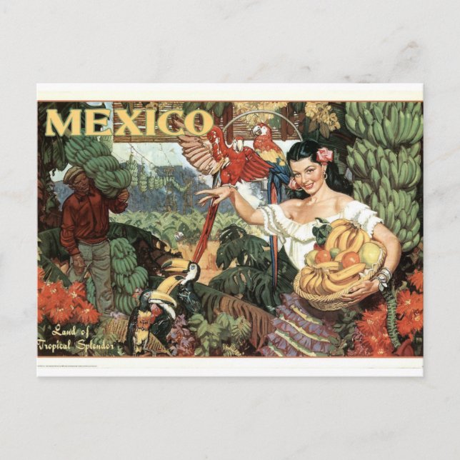 Vintage Mexico Poster Postcard (Front)
