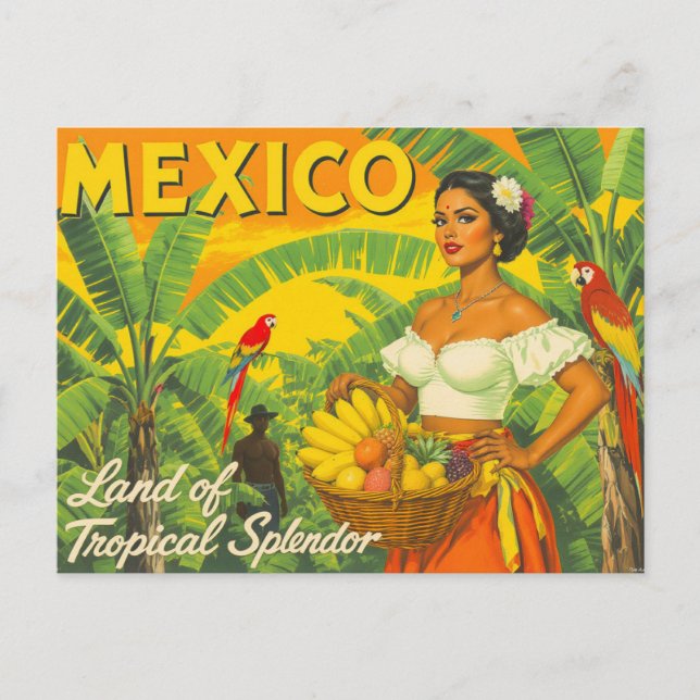 Vintage Mexico Tropical Travel Postcard (Front)