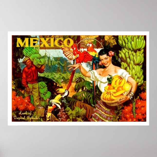 Vintage Mexico Tropical Travel Poster Design (Front)