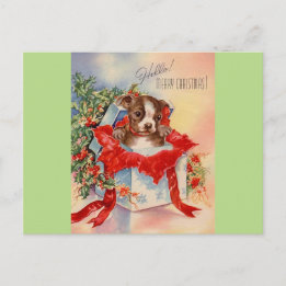 Vintage Mid Century Beautiful Baby Boston Terrier Postcard