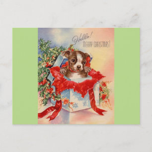 Vintage Mid Century Beautiful Baby Boston Terrier Postcard
