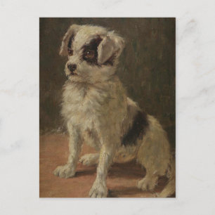 Vintage Minna Stocks Dog Portrait Postcard