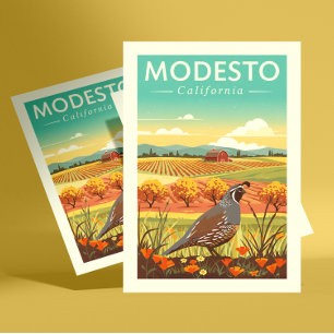 Vintage Modesto California Postcard