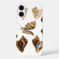 Vintage Mollusks and Snails, Marine Life Organisms