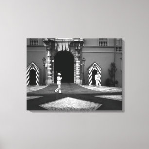 Vintage Monaco Principality princely palace Canvas Print