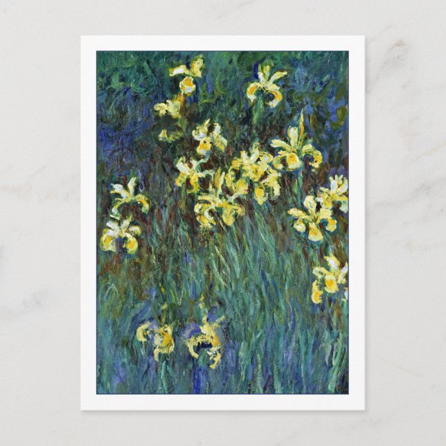 Vintage Monet Painting Yellow Irises Postcard (Front)