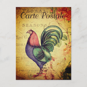 Vintage Money-Style Rooster Postcard