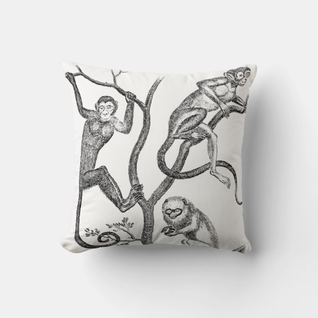 Vintage Monkey Illustration - 1800's Monkeys Cushion (Front)