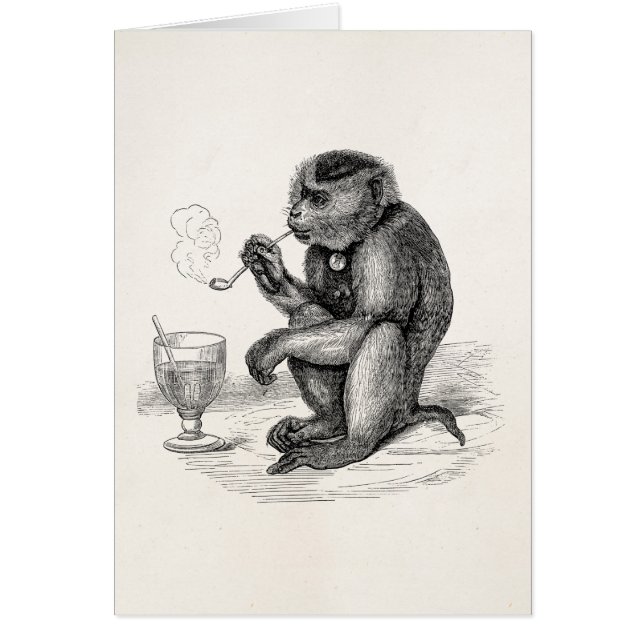 Vintage Monkey Smoking a Pipe Monkeys  Animal (Front)