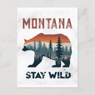 Vintage Montana Bear Stay Wild Travel Postcard