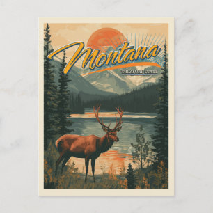 Vintage Montana  Postcard