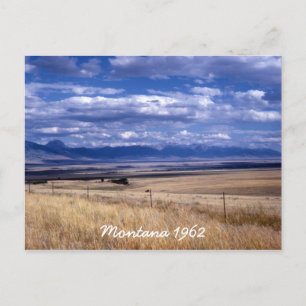 Vintage Montana Postcard